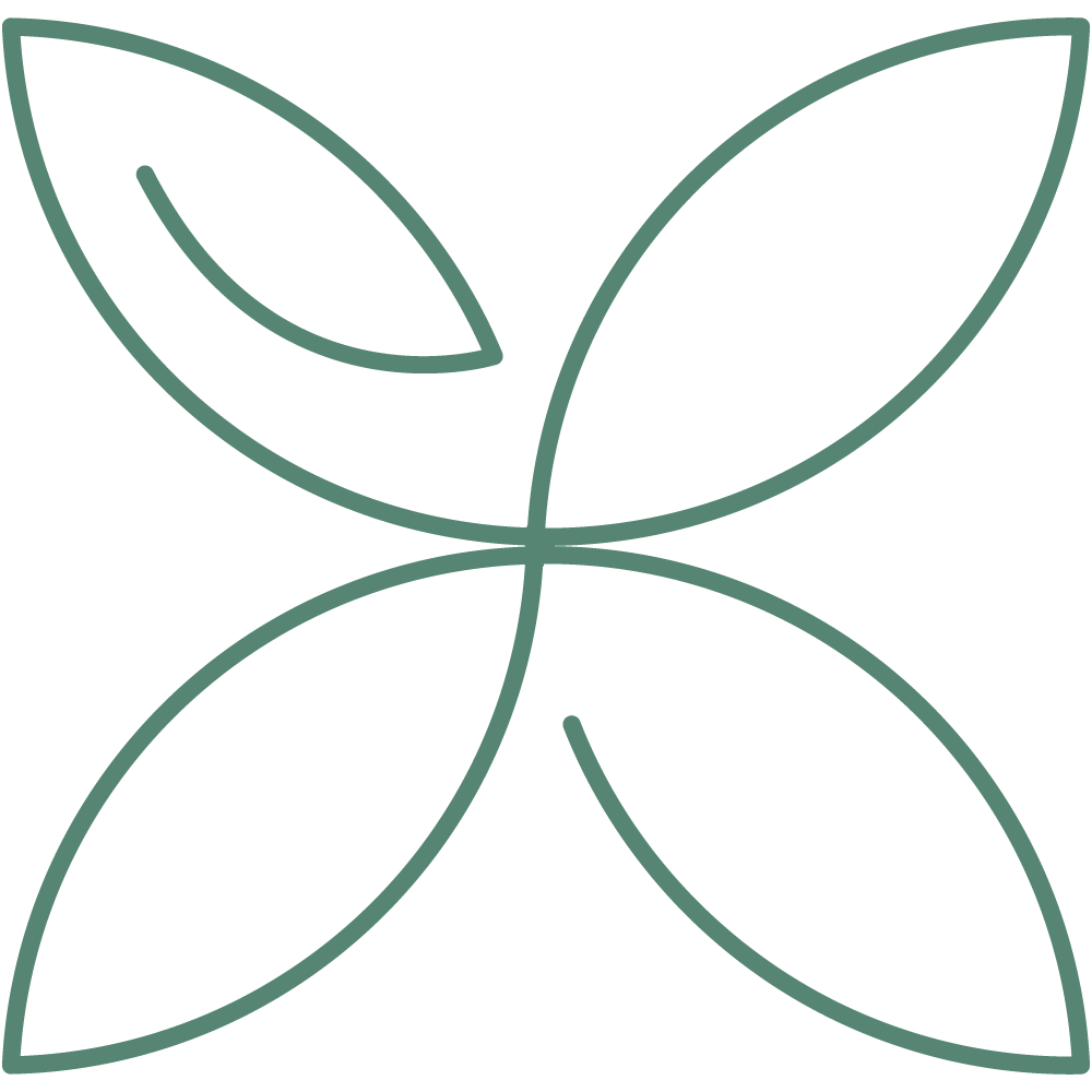 icon1