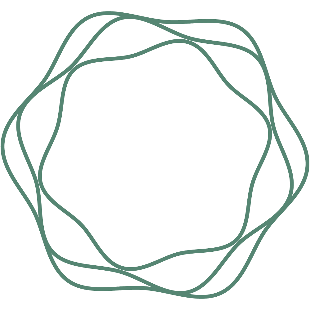icon2