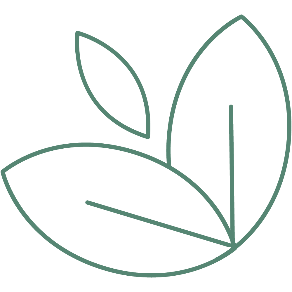 icon3
